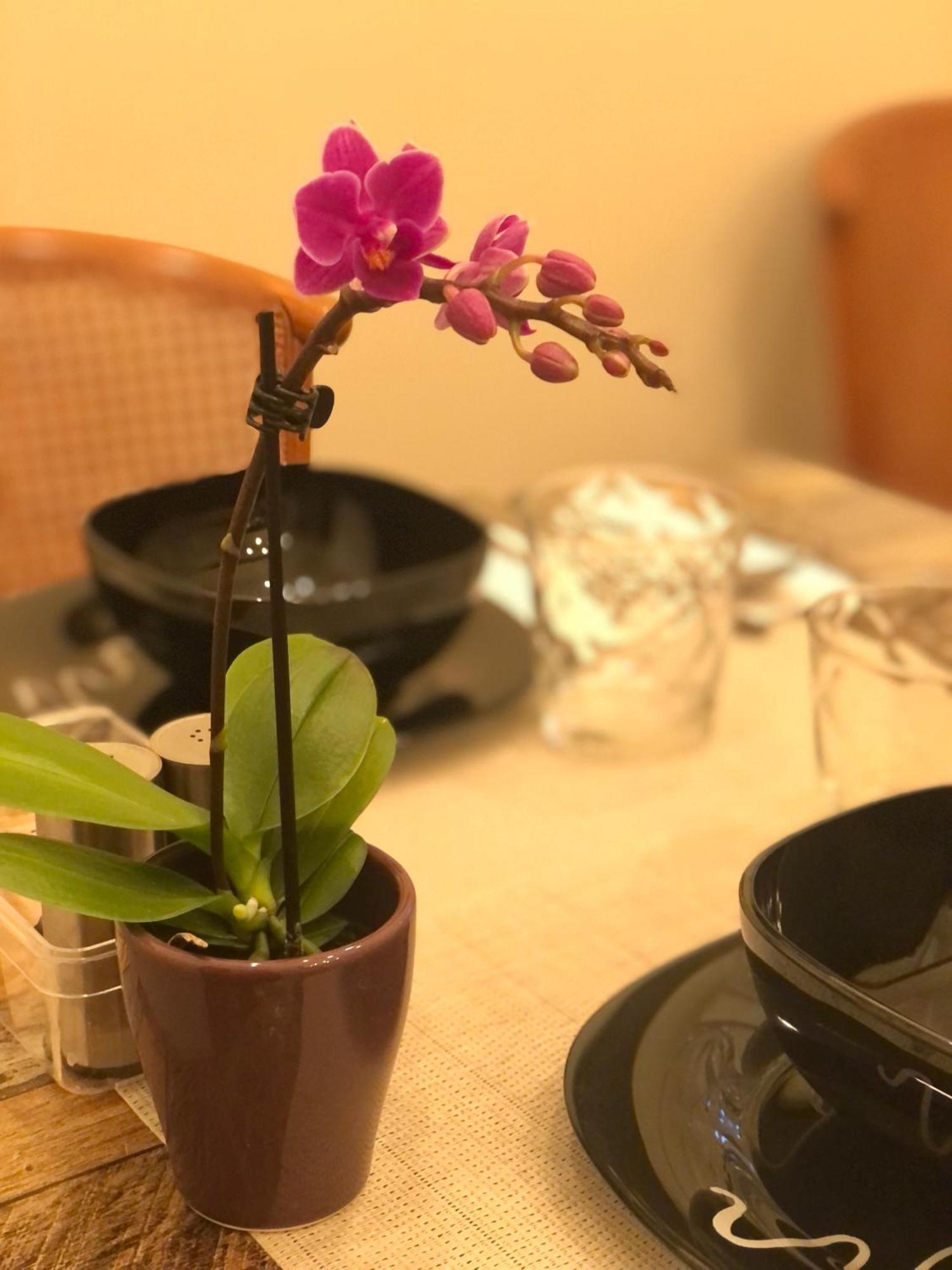 Serenity Bed & Breakfast Brescia